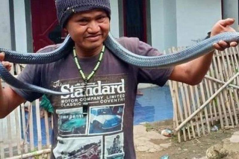 农夫与蛇印尼一男子给宠物蛇洗澡时被其勒死
