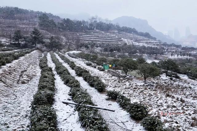 2020年青岛老城区雪景惊艳上线！不输故宫