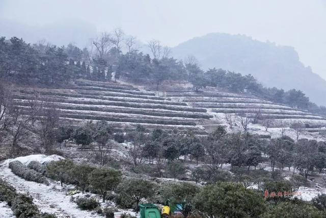 2020年青岛老城区雪景惊艳上线！不输故宫