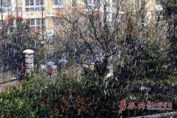 2020年青岛老城区雪景惊艳上线！不输故宫