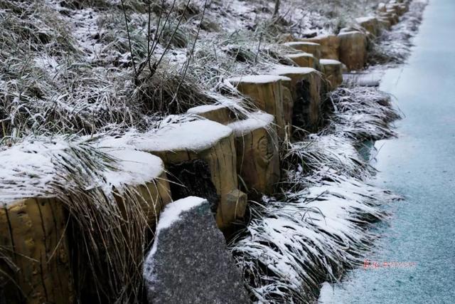 2020年青岛老城区雪景惊艳上线！不输故宫