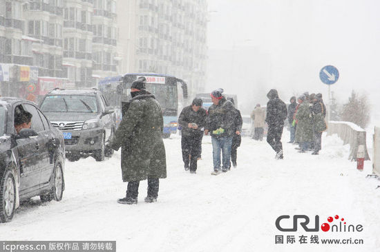 哈尔滨街头现 趁雪打劫 推车20至50元不等(高清组图)