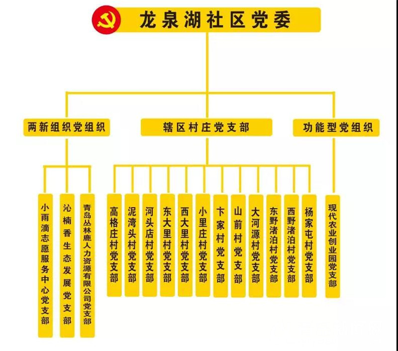 龙泉湖社区党委组织架构图