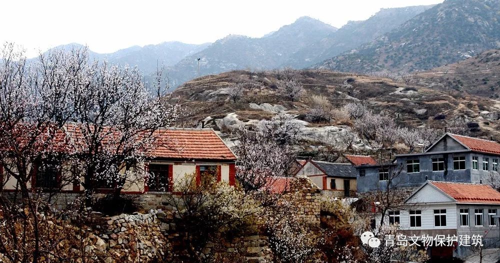 大泽山下的韭园村