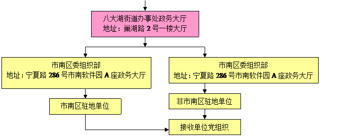 入党政审