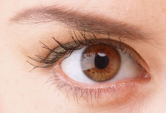 8种营养素影响眼睛健康