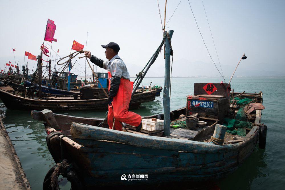 港东坐拥天然优良码头,规模仅次于沙子口(纪春章摄)