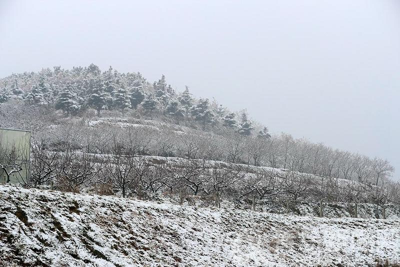 追雪到鐵山鎮九上溝看山村雪後初霽的美麗景色