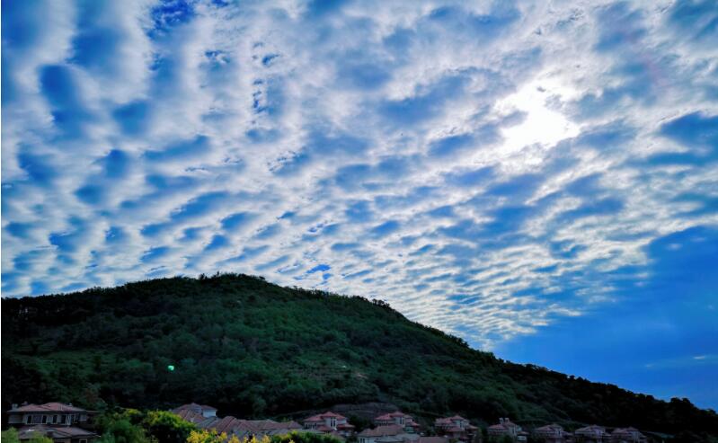 大珠小珠落玉盤 青島世博園雨中蓮花美醉人(組圖)