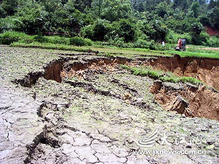 江西芦溪县约1500平米农田下陷(组图)