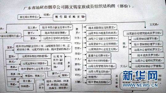 图为广东省汕尾市烟草专卖局局长陈文铸家族成员组织结构图（1月13日摄）。新华社记者 刘大江 摄