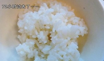 空调散热片藏匿大量细菌 米饭吹三天发霉