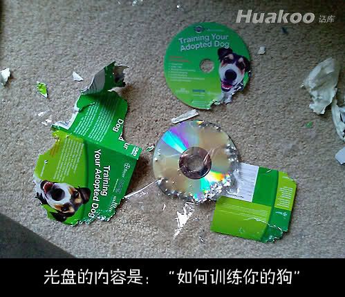 极品爆笑图 笑点低慎入