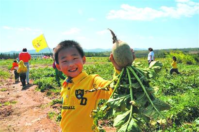 40万游客涌进青岛6大景区 今明回落