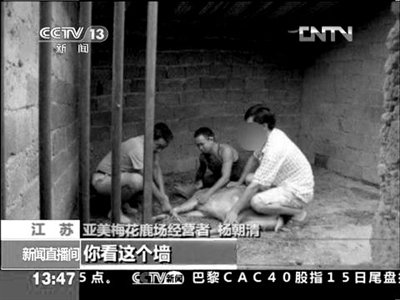 央视称“游客在南京排队喝鹿血”系假新闻