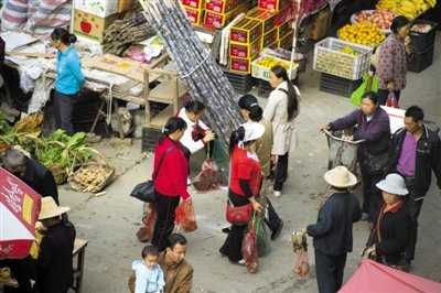 湖南罗霄山候鸟迁徙路上遭杀戮