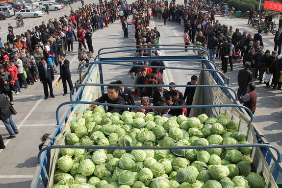 西安发放六万斤免费菜 三小时吸引6000市民