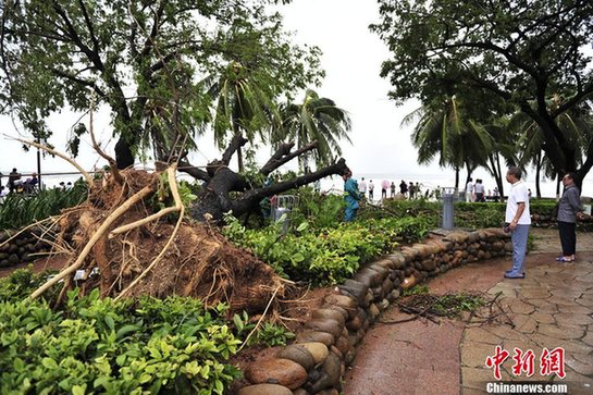 台风山神过境三亚大风暴雨 市民街上下网捕鱼