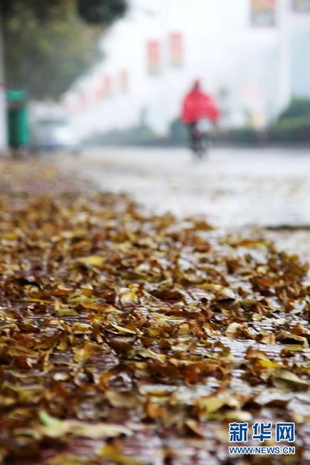 #（社会）（2）寒潮侵袭北方大部 多地现大范围降温雨雪天气