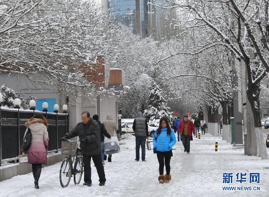 （生态）（3）呼和浩特降下今冬以来最大雪