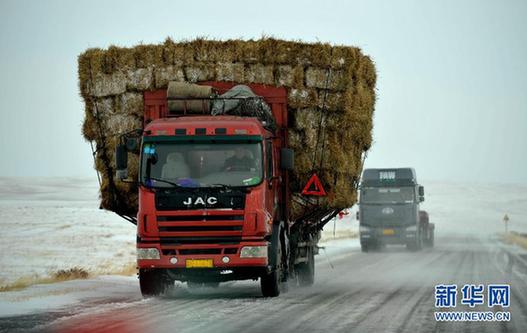 （社会）（2）内蒙古锡林郭勒草原降雪降温