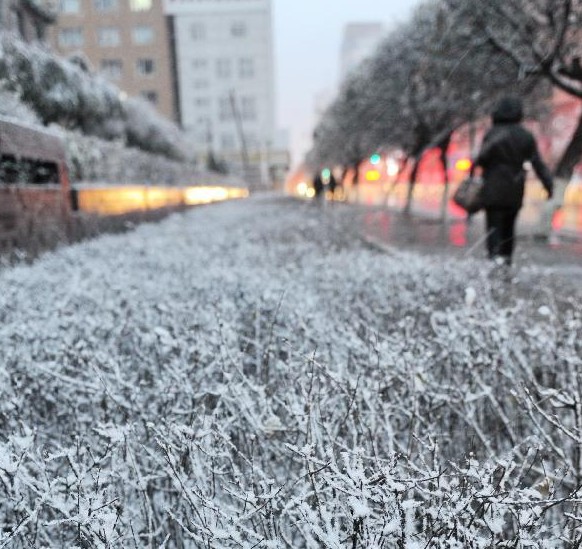 暴雪强袭东北大部 多地大雪将持续