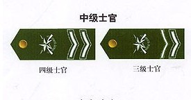 人人都该知道的军衔常识 必须看