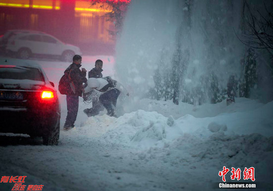 乌鲁木齐成“林海雪原”