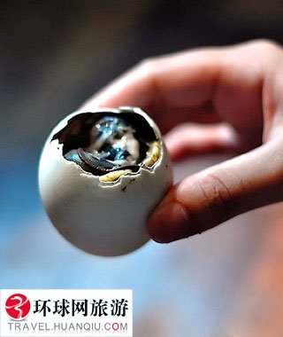 各国最奇怪食物TOP10 你敢不敢尝一尝