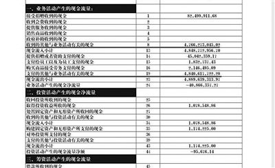 举报人周筱赟贴出的中华儿慈会2011年财务报表，并标出可疑项目。网络截图