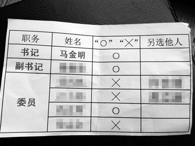 部分党员提供的“选票”。新京报记者 刘珍妮 摄
