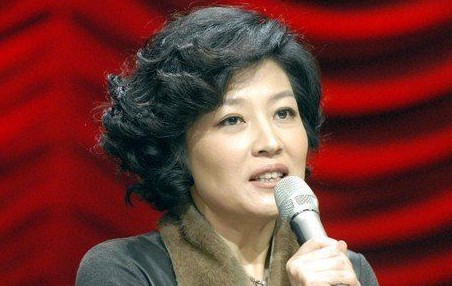 蛇年春晚赵本山不给面子 揭与哈文结怨内幕