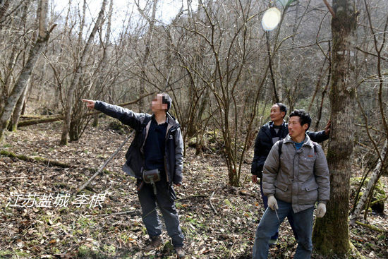 2013年3月4日，陕西省安康市镇坪县，随周正龙上山人员研究寻虎方案。李根/CFP