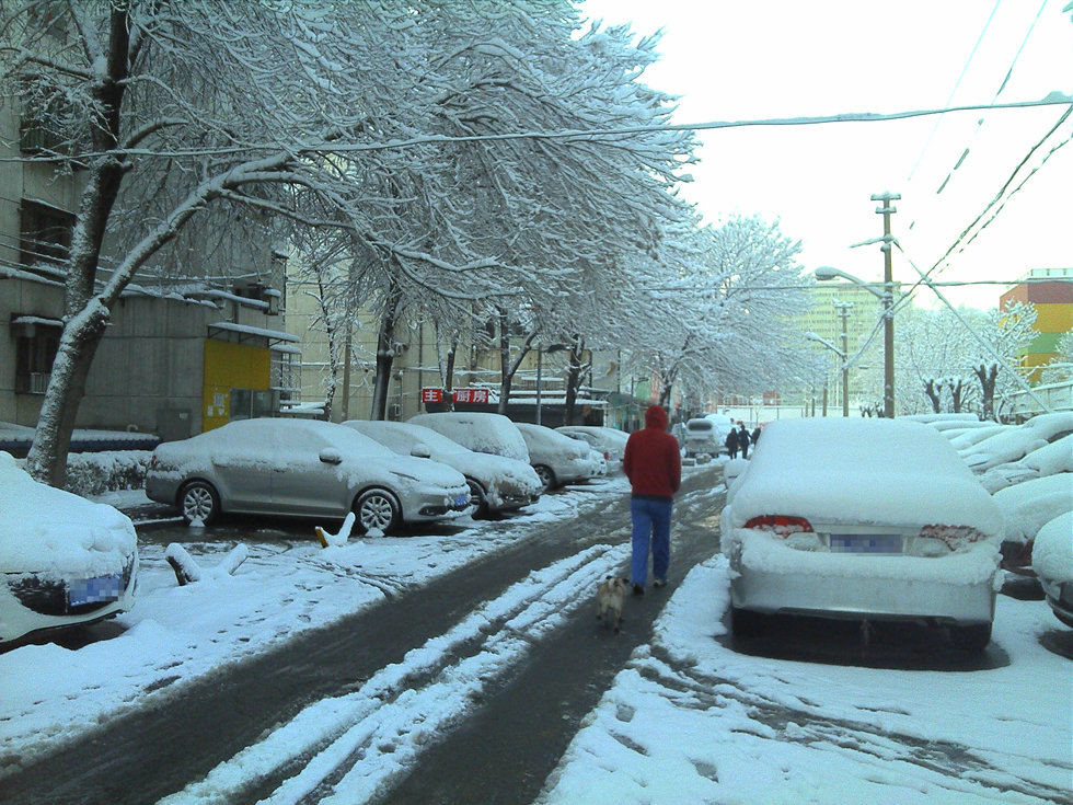 2013年3月20日早晨，降雪后的北京，全城银装素裹