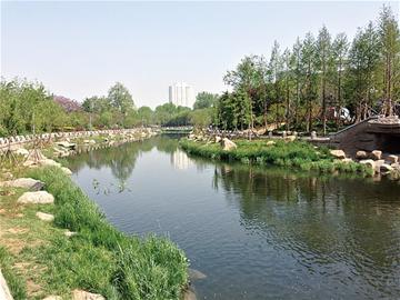 青岛过城河道整治初见成效 海泊河大变样