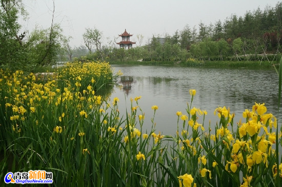 白浪生态绿洲湿地公园