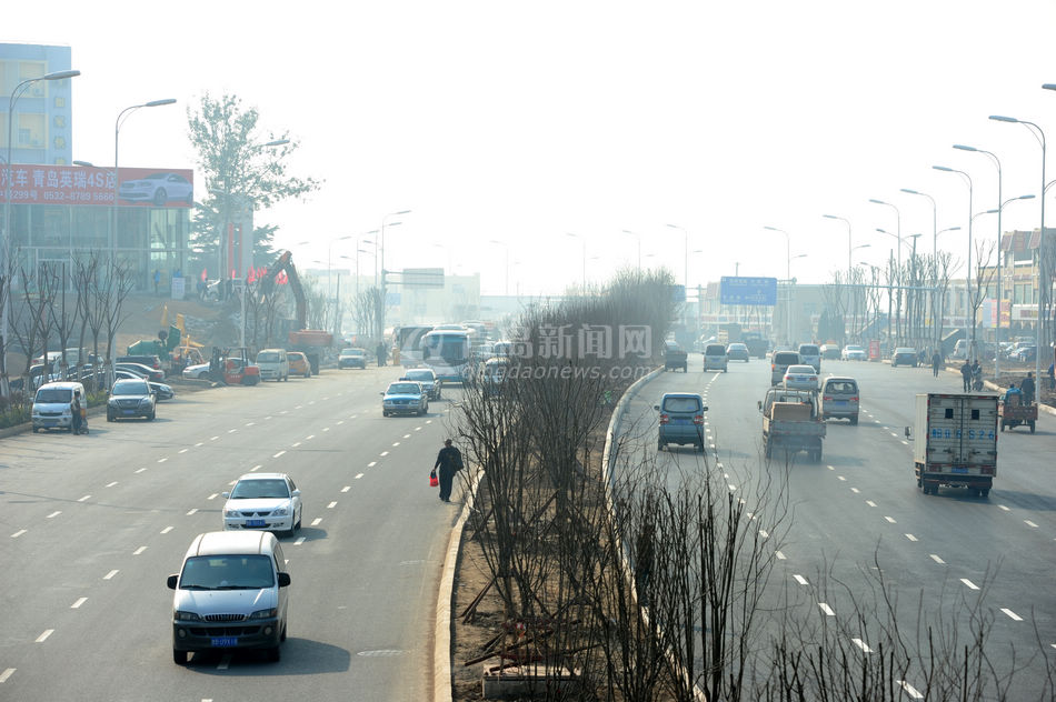 重庆路绿化规模史上空前