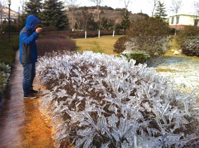 冬日崂山现冰雪景观 北九水冰挂