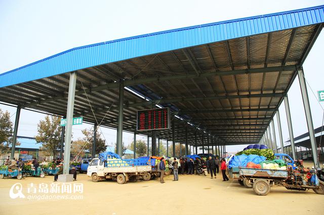 半岛最大农副产品物流港落户莱西(图) 半岛最大农副产品物流港落户莱西(图)