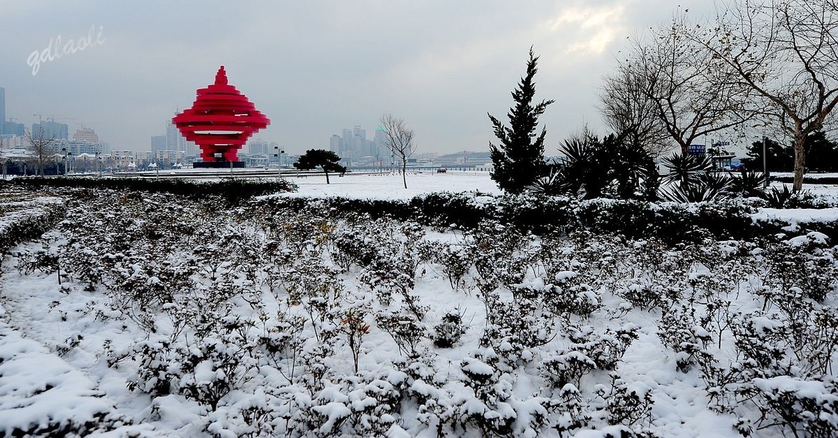 2020青岛雪景图片图片