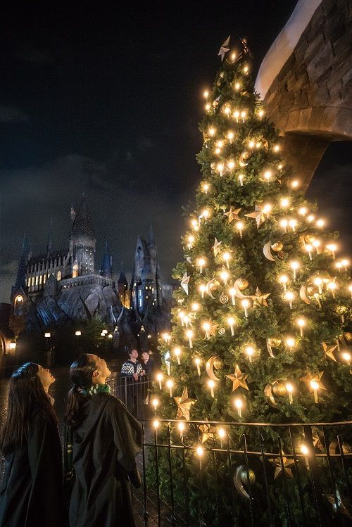 2HaryPotterXmas_Tree2.jpg